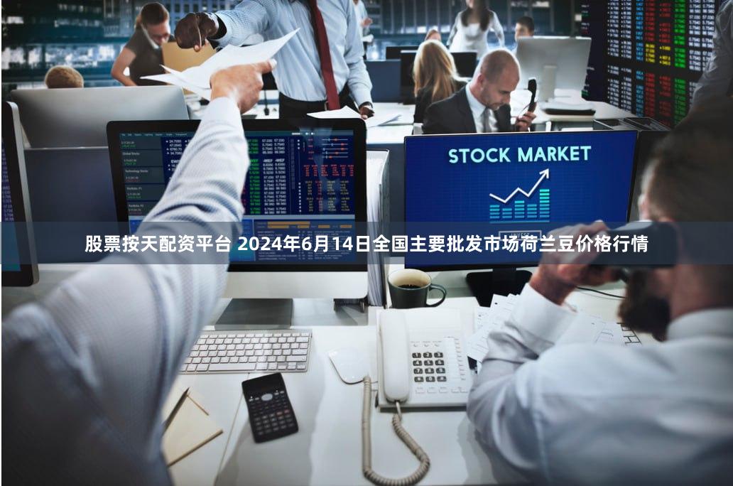 股票按天配资平台 2024年6月14日全国主要批发市场荷兰豆价格行情