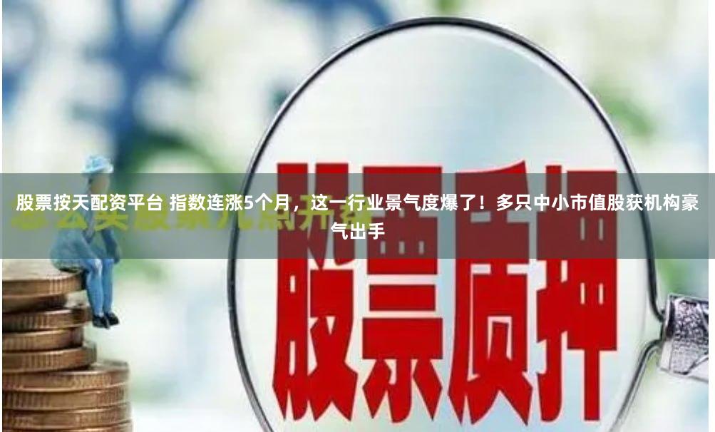 股票按天配资平台 指数连涨5个月，这一行业景气度爆了！多只中小市值股获机构豪气出手