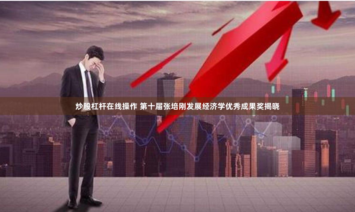 炒股杠杆在线操作 第十届张培刚发展经济学优秀成果奖揭晓